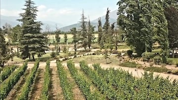 Es un evento realizado en Chile y atrae a turistas de todo el mundo