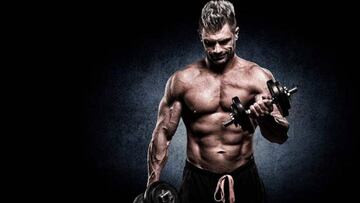 Quemadores de grasa, el complemento perfecto