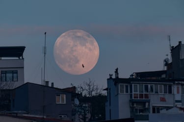 La luna llena, visible al atardecer, se eleva sobre las casas de Izmir, Turquía.