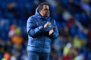 Horas cruciales entre Botafogo y André Jardine