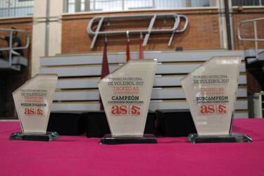 Los Torneos Municipales de Madrid, con 28.000 deportistas