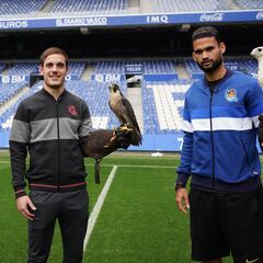 Los halcones del área del líder