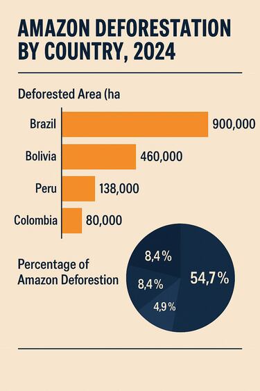 Alertan de que la selva amazónica pierde una superficie equivalente a toda España en 40 años