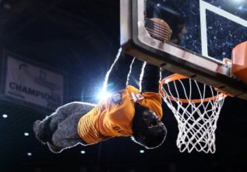 'Gorila', la mascota de los Phoenix Suns.