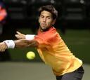 Verdasco y García López se meten en segunda ronda