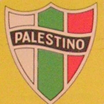 Palestino siempre ha mantenido su diseño tradicional con algunos pequeños cambios, salvo por dos etapas que no fueron aprobadas por los hinchas.