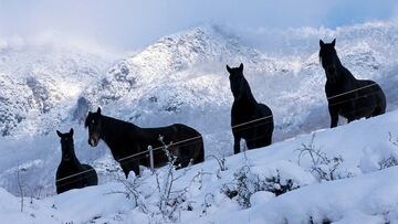 Beille, la cuna de los Mérens y del ski-joëring