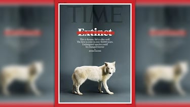 La compañía Colossal desveló el nacimiento de tres lobos modificados genéticamente para simular a la especie extinta, por primera vez en la historia. Los ejemplares fueron gestados por perras.