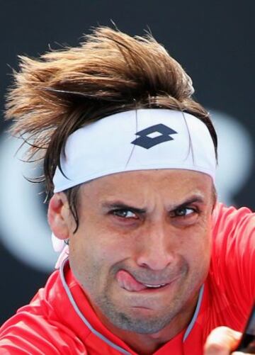 David Ferrer.