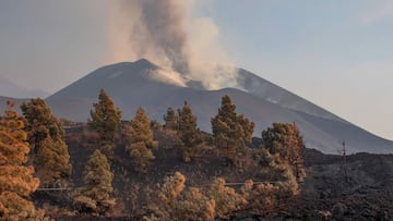 In this handout photograph taken and released by the Spanish Military Emergency Unit (UME) on November 1, 2021, members of Spanish Army&#039;s RDNBQ 1 and UME&#039;s GIETMA monitor the gases in the ash-covered areas following the eruption of the Cumbre Vi