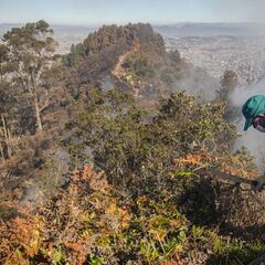 Incendios en Bogotá: ¿puede haber sido causado?¿Qué se sabe?