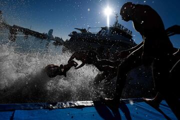 Tradición y diversión entre los nadadores, que compiten en un recorrido de 200 metros con salida y llegada frente a la estatua de Colón en el puerto de Barcelona.