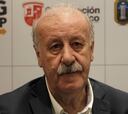 Del Bosque: "Colombia tiene una gran generación de jugadores"