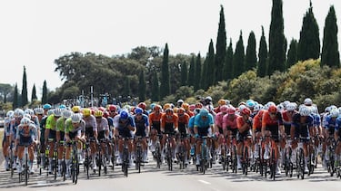 Pelotón, en la 16ª etapa del Tour 2024.