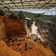 Descubren unas inquietantes marcas en un hueso humano de 850.000 años de antigüedad y todo apunta a canibalismo