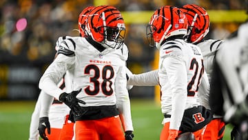 PITTSBURGH, PENNSYLVANIA - JANUARY 04: DJ Ivey #38 of the Cincinnati Bengals celebrates after a pass break up in the third quarter of a game against the Pittsburgh Steelers at Acrisure Stadium on January 04, 2025 in Pittsburgh, Pennsylvania. Joe Sargent/Getty Images/AFP (Photo by Joe Sargent / GETTY IMAGES NORTH AMERICA / Getty Images via AFP)