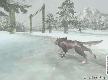 Zelda: Twilight Princess retrasado hasta el 2006