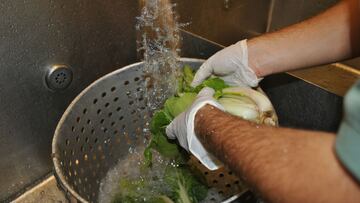 Autoridades sanitarias llaman a aplicar medidas higiénicas en preparación de alimentos