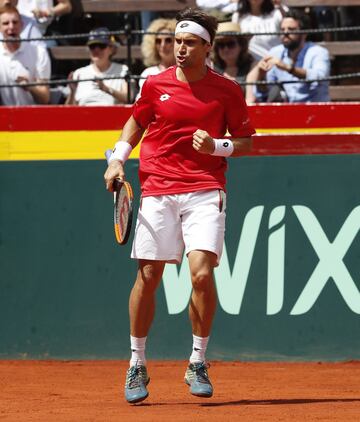 David Ferrer.