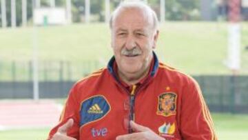 12/06/12 EUROCOPA 2012 POLONIA UCRANIA
SELECCION ESPAÑOLA ESPAÑA
ENTREVISTA TELEVISION VICENTE DEL BOSQUE