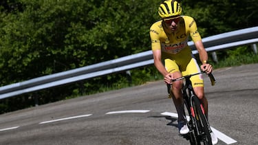 El pescado está vendido