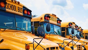 Due to a drivers' strike, the Jefferson School District in Louisville, Kentucky canceled almost 100 bus routes. A total of 143 drivers had called in absent.