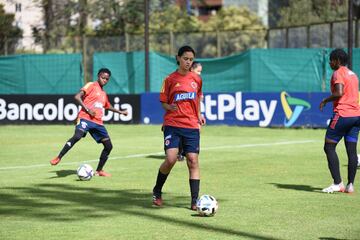 Las dirigidas por Carlos Paniagua iniciaron sus entrenamientos en la Sede Deportiva de la Federación Colombiana de Fútbol en Bogotá.