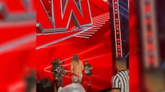 Un fanático se cuela y se lía a golpes con una estrella de la WWE en pleno espectáculo