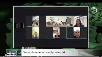 Cuauhtémoc Blanco pasa lista y se sale de una sesión de la Cámara de Diputados