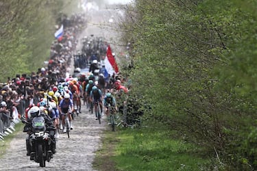El pelotón de la carrera durante la 123.ª edición de la París-Roubaix.