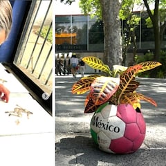 ¿A qué se dedica Rodrigo Imaz Alarcón, hijo de Claudia Sheinbaum, Presidenta de México?