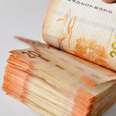 Extensión IFE Universal: montos, requisitos y qué ha dicho el Gobierno