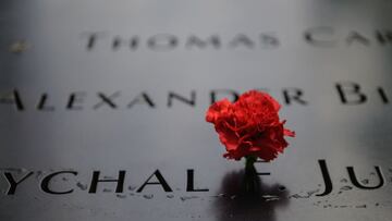 A flower adorns a name at the National September 11 Memorial site of the north tower at World Trade Center in New York, on September 8, 2021. - The remains of two more victims of 9/11 have been identified, thanks to advanced DNA technology, New York offic