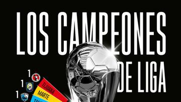 Tras la Final disputada entre Cruz Azul y América, así se dividen los títulos del fútbol mexicano, equipo por equipo que se ha coronado.