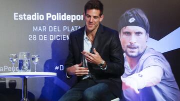 Juan Martín del Potro.