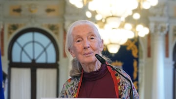 Here’s who Jane Goodall says should be blasted into space