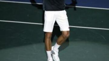 Novak Djokovic celebra su triunfo.