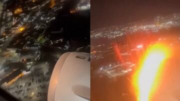 Ave provoca el aterrizaje de emergencia de un avión en Nueva York