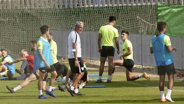 PELLICER JUNTO A MATOS, MALAGA CF