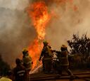Incendios y toque de queda en Viña del Mar y Valparaíso hoy, en vivo: mapa de zonas afectadas, focos, muertos y últimas noticias | Quilpué, Villa Alemana
