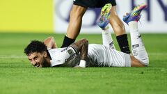 Un campeón en peligro