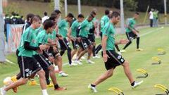 Peralta, novedad en los 19 convocados para la Copa