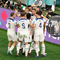 Inglaterra ‘adopta’ un gato qatarí tras su eliminación del Mundial