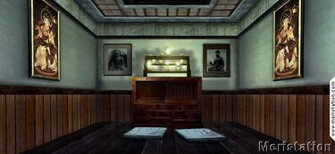 Red Steel, Impresiones