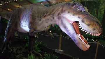 Jurassic Park en Colombia: el sorprendente y familiar centro recreacional que le llevará al pasado