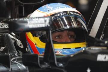 Fernando Alonso.