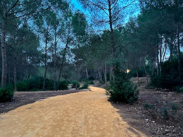 Estado actual de los senderos del Parque de El Moralet por los que discurrir la Copa del Mundo de Ciclocross UCI C Benidorm Costa Blanca 2025.