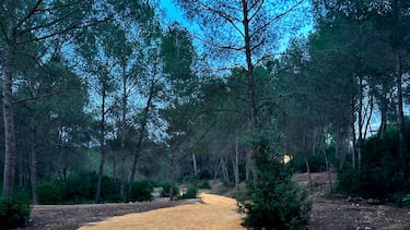 Estado actual de los senderos del Parque de El Moralet por los que discurrirá la Copa del Mundo de Ciclocross UCI – Benidorm Costa Blanca 2025.