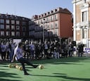 Penaltis anti leucemia infantil, en la Plaza Mayor de Valladolid
