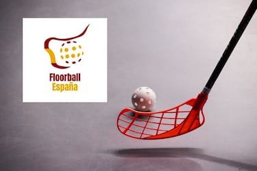 La Asociación Española de Unihockey/Floorball se creó en 1998. La empresa impulsora fue Dalter (empresa distribuidora de material de unihockey) pero aproximadamente  un año después, la AEUF se desvincula de esta empresa buscando la independencia y la promoción del deporte sin ataduras comerciales. 